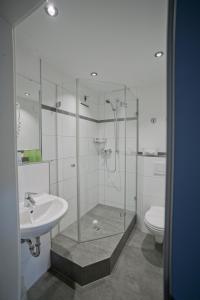 a bathroom with a shower and a sink and a toilet at Hotel-Restaurant Zum Hirschhaus Inklusiv Chiemgaukarte in Ruhpolding