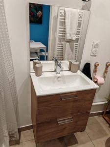 a bathroom with a sink and a mirror at Bulle tropicale jungle in Clermont-Ferrand +25 photos