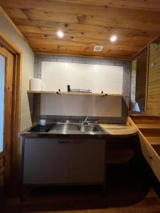 a kitchen with a sink and a counter top at Chata nad Osławą in Zagórz