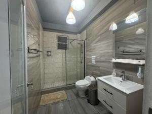 a bathroom with a toilet and a sink and a shower at VSS Rustic in Arecibo - Stylish & Relaxing Escape Near Beaches in Arecibo