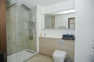 a bathroom with a shower and a toilet and a sink at Seaview City Lodge , 2- bedroom flat with Parking in Southend-on-Sea