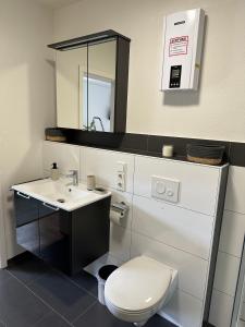 een badkamer met een toilet, een wastafel en een spiegel bij Mosel Solea Boutique Apartment in Klüsserath +2 foto's