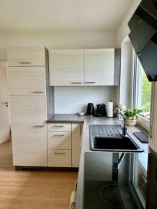 une cuisine avec des armoires blanches et un évier dans l'établissement Mosel Solea Boutique Apartment, à Klüsserath 1 autre photo