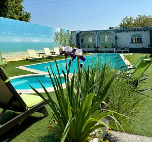 a house with a pool and a chair and a plant at Lady Hamilton B&B in Feletto