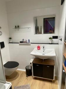 a bathroom with a sink and a toilet and a mirror at Seehaas1 in Friedrichshafen +7 photos