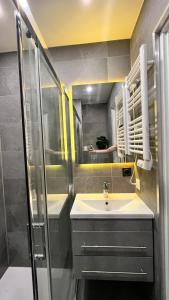 a bathroom with a sink and a shower at Appartement cosy in Saint-Louis