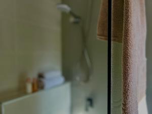 ein Badezimmer mit Dusche und Duschkopf in der Unterkunft Zeleni Dvor in Ribarska Banja + 21 Fotos
