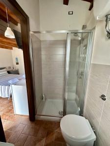 a bathroom with a shower with a toilet and a sink at Roba Albanisi in Aragona