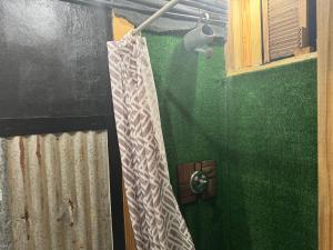 a shower with a curtain in a green room at VSS Rustic in Arecibo - Stylish & Relaxing Escape Near Beaches in Arecibo