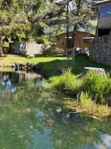 a pond in the yard of a house at Chalet grenouille Domaine de la Mamounette in Champclause +5 photos