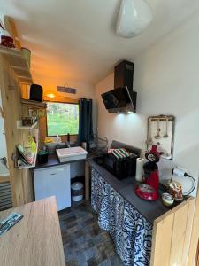 Dapur atau dapur kecil di Chalet Hibou 1 couchage en 140 Domaine de la Mamounette