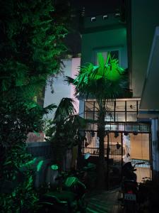 Κήπος έξω από το Sharan Homestay
