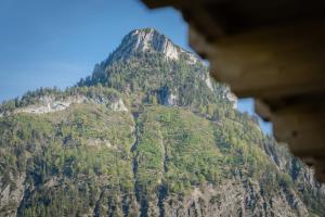 a view of a mountain with trees on it at Arnestgut in Strobl