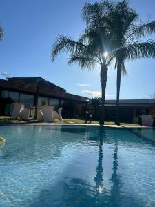 a swimming pool with a palm tree and chairs at Oasi verde cavallino in Cavallino di Lecce