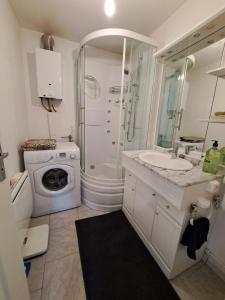 ein Badezimmer mit Waschbecken und Waschmaschine in der Unterkunft Pause zen dans le Perche Nature & calme 
