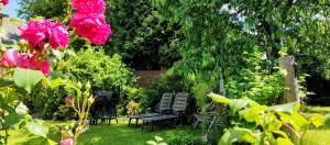 a garden with two chairs and pink flowers at Ubytovani Sarka in Čistá
