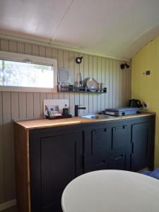 a small kitchen with a counter and a sink at De Zonnewagen in Sint Jacobiparochie +8 photos