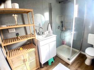 a small bathroom with a sink and a shower at בקתה 512- אירוח בדרום הגולן in Giv'at Yo'av