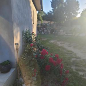 Gallery image of Casa di l Alivetu in Ventiseri