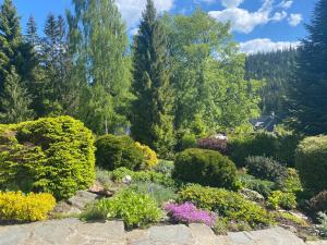 a garden with flowers and trees in the background at Apartmány U Sýkorky in Malá Morávka