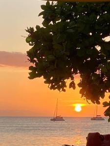 two boats in the ocean at sunset with a tree at la maison des bois flottés in Port-Louis