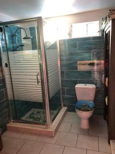a bathroom with a shower and a toilet at la maison des bois flottés in Port-Louis +30 photos