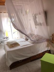 a bedroom with a bed with a mosquito net at la maison des bois flottés in Port-Louis