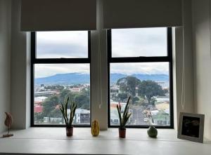 a room with three windows with plants on a table at Apartamento Vista 11 URBN Escalante in San José