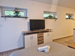 a bedroom with a flat screen tv and a bed at HOLIDAY NEST Family Apart Guest House 26m2 - Mysigt studio för 4 pers in Höör