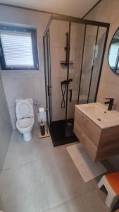 a bathroom with a toilet and a shower and a sink at Jodłowe Zacisze in Lubkowo +28 photos