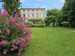 Zahrada ubytování Villa Rhôna