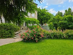 Zahrada ubytování Villa Rhôna