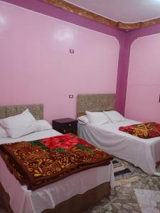 two beds in a room with purple walls at برج اللؤلؤ Residential tower in Siwa