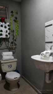 a bathroom with a sink and a toilet at Cozy family apartment, kitchen in Mineral del Monte