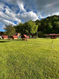 un prato verde con case e alberi di Camp &Apartmens Scepanovic a Mojkovac