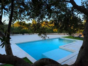 a swimming pool in a yard with a tree at Villa Maginja in Sutivan