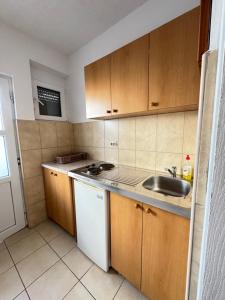 Köök või kööginurk majutusasutuses Apartmani Tošić +11 fotot