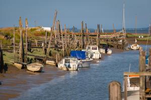 a group of boats are docked in a marina at La Moustache Bleue in Bouin +13 photos