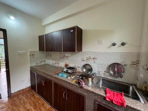 マナリにあるPeaceful Village Stayのシンクとカウンタートップのあるキッチン