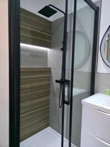 a shower with a glass door in a bathroom at Shoreditch Luxe in London