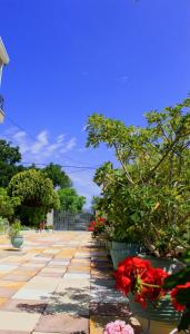 Vonkajšia záhrada v ubytovaní Olyna’s Apartment N.S Preveza