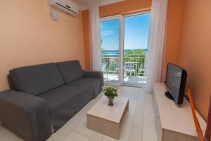 TV a/nebo společenská místnost v ubytování Apartment Ana