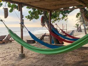 a couple of hammocks on a beach with the ocean at Cocobeach Palomino in Palomino
