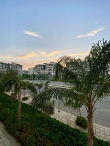 a view of a beach with palm trees and buildings at Cairo Madinty in Madinaty