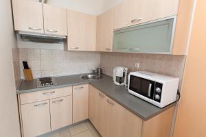 Kuchyň nebo kuchyňský kout v ubytování Apartment Ana + 14 fotografií