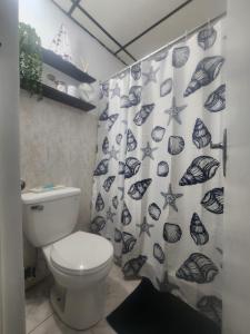 El QuijeHabitacion con sulay a 10 minutos del aeropuerto punta del este tocumen的带马桶和浴帘的浴室