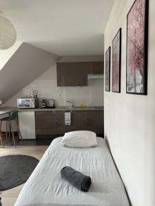 Η κουζίνα ή μικρή κουζίνα στο Appartement Strasbourg Centre