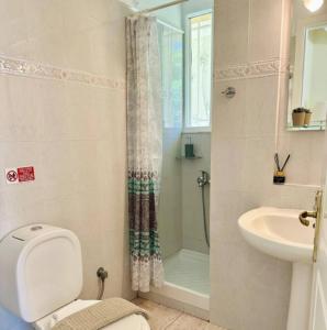 a bathroom with a shower and a toilet and a sink at Sophilia Garden escape in Patra +13 photos