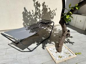 a tree sitting next to a chair next to a tree at Casa al mare - Puglia Mia Apartments in Monopoli +21 photos