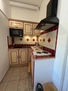 a small kitchen with a stove and a microwave at Studio des Anges #1 in Sauve
